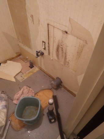 IMGP4303-e1717395170263